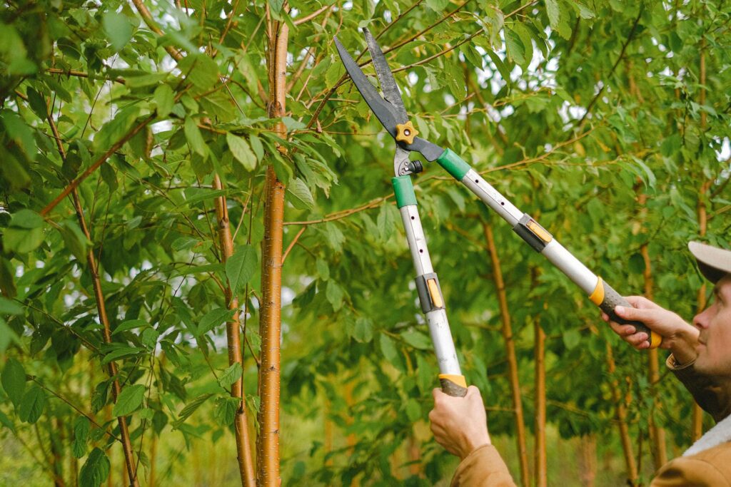 De kunst van groenonderhoud voor een gezonde en stralende buitenruimte