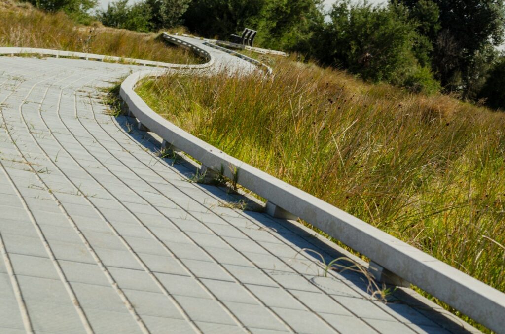 a wooden walkway with grass and trees